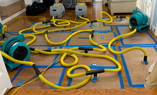 Professional Storm Water Damage Restoration technician working in Murdock, NE